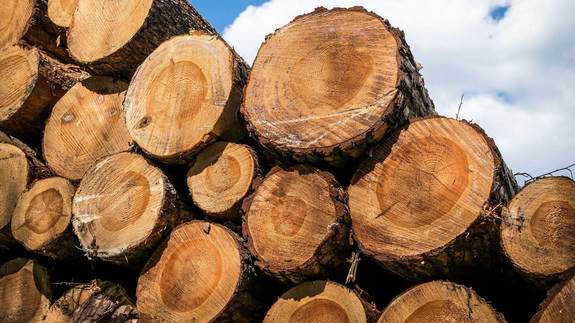 Holzstapel Holzstapel